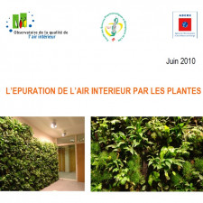 L'épuration de l'air intérieur par les plantes - Point sur les connaissances scientifiques