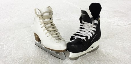Patinoires couvertes