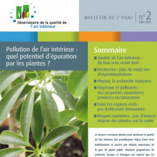 Pollution de l’air intérieur : quel potentiel d’épuration par les plantes ?