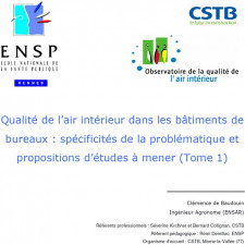 Qualité de l’air intérieur dans les bâtiments de bureaux   spécificités de la problématique et propositions d’études à mener (Tome 1)